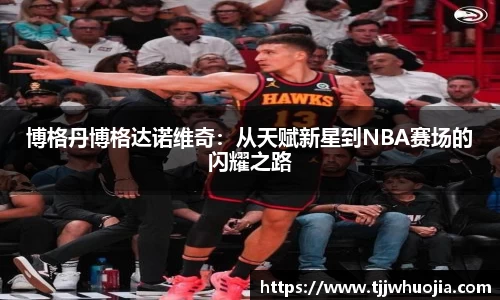 博格丹博格达诺维奇：从天赋新星到NBA赛场的闪耀之路